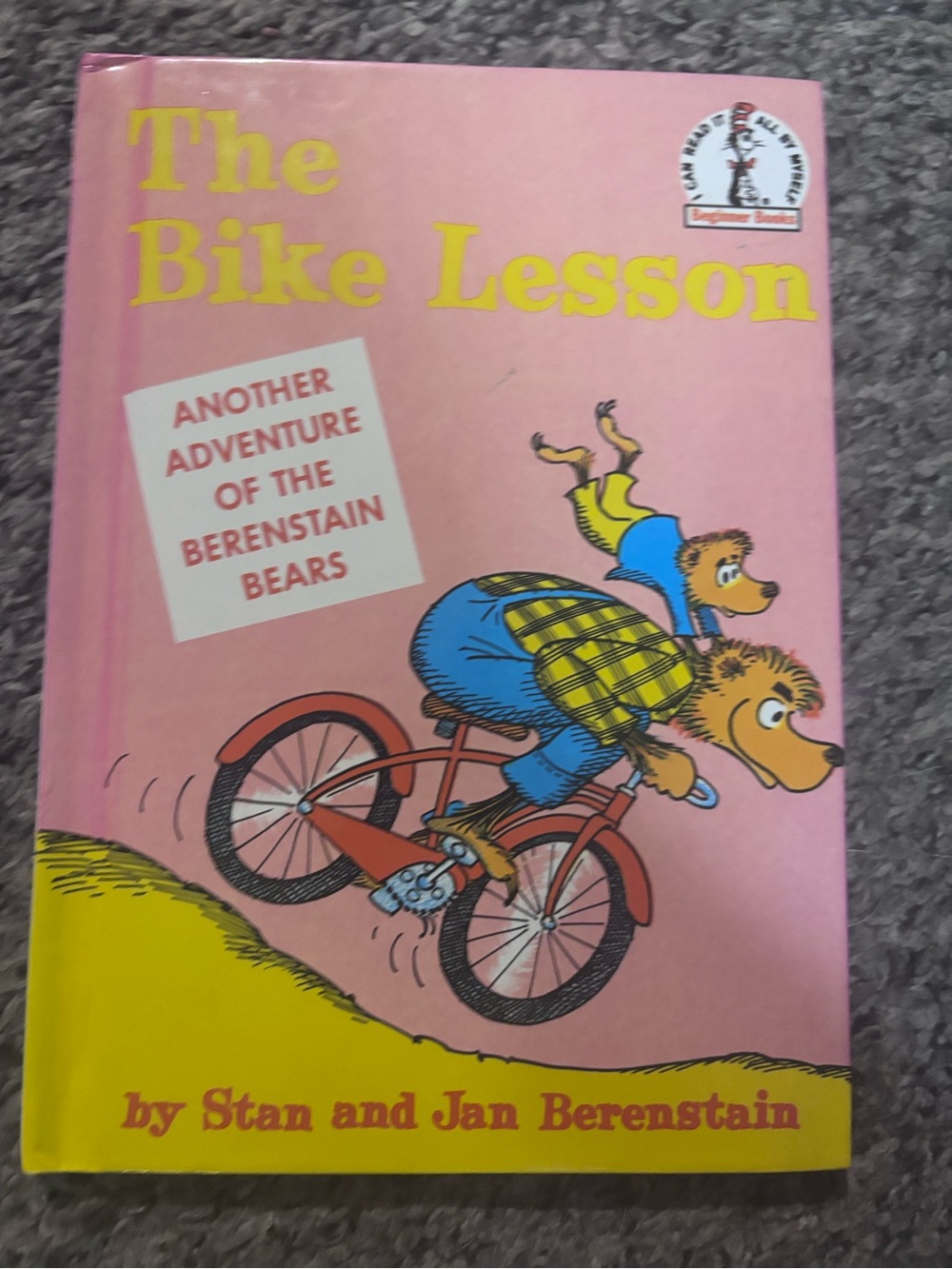 The Bike Lesson - Pink Cover